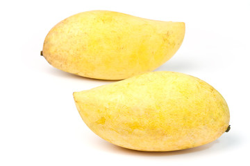 Yellow mango