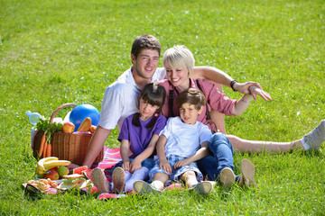 Happy family playing together in a picnic outdoors