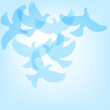 beautiful blue dove in flight