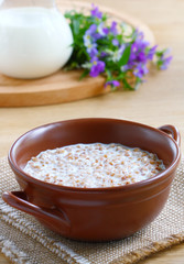 Buckwheat porridge with milk