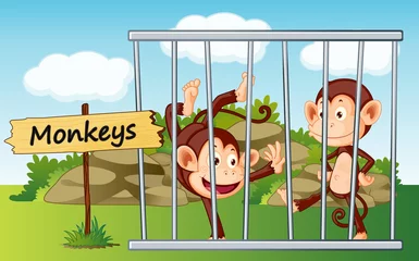 Peel and stick wall murals Zoo monkeys in cage