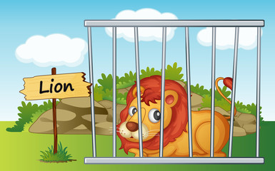 lion en cage
