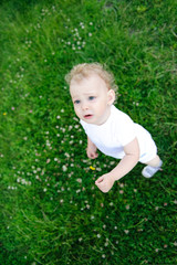 Cute child playing in green grass