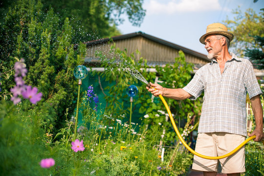 Watering of the garden