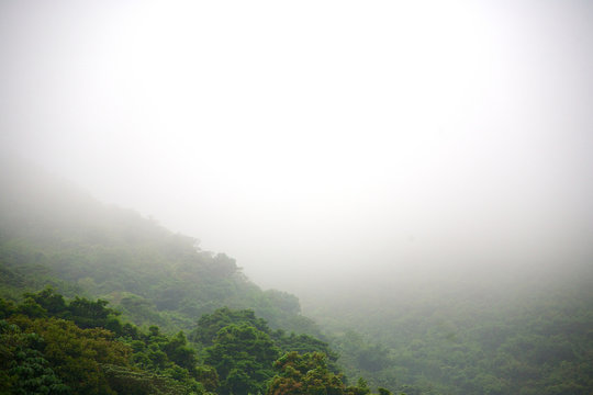 Nebel