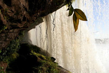 Canaima-Nationalpark, Venezuela © evenfh