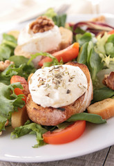 mixed salad with bread and cheese