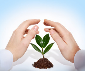 Growing in safety