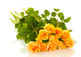 beautiful bouquet of roses isolated on white