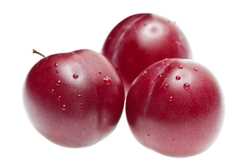 Plum (Plumus)