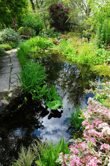 Garden Pond