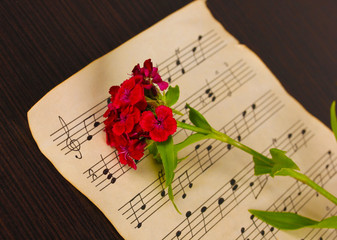 Musical notes and flower on wooden table
