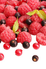 ripe berries with mint, isolated on white.