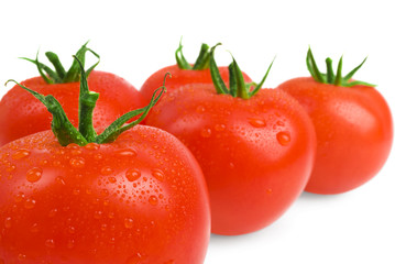 Close-up photo of tomatoes with water drops