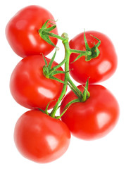 tomatoes