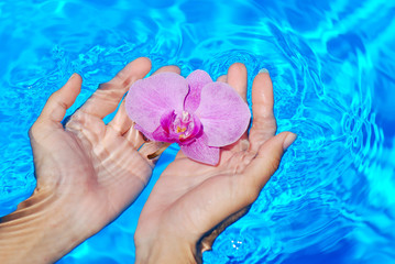 SPA, FLOR, MANOS