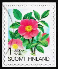 Postage stamp Finland 1994 Karelian Rose, Flower