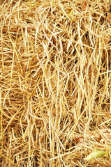 Stack of dry yellow hay