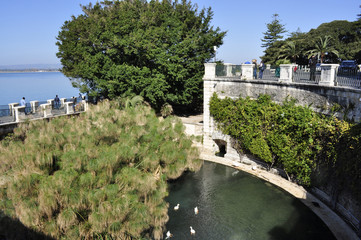 Italy. Italia. Siracusa fonte Aretusa