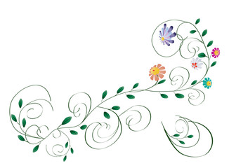 Elegant colorful flowers beauty branch with swirls isolated on w