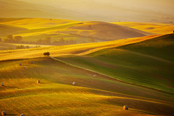 typical Tuscany landscape, Italy