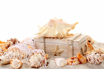 Seashells and treasure chest