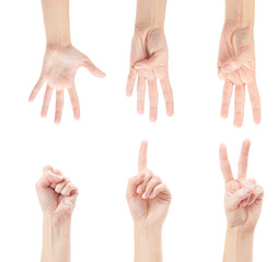 Counting woman hands (0 to 5) isolated on white background