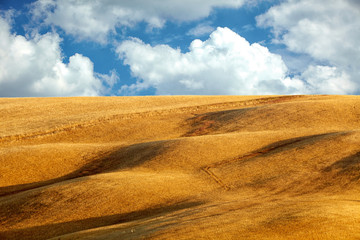 Obraz premium image of typical tuscan landscape
