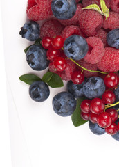 forest berries, border , isolated on a white background