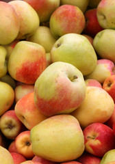 ripe fresh apples