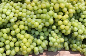 bunches of white grapes