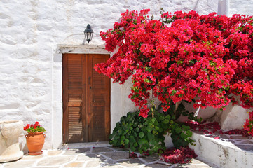 Plakat Tradycyjne greckie drzwi z czerwonych kwiatów przed
