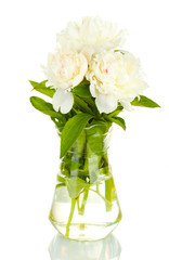 beautiful white peonies in glass vase with bow isolated on