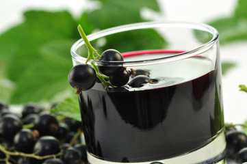 Cassis