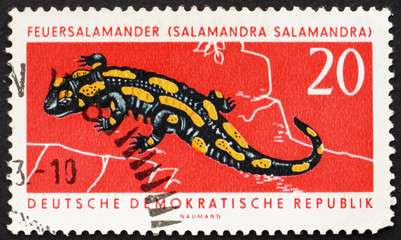 Postage stamp GDR 1963 Fire Salamander