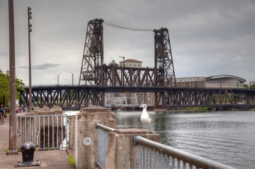 Fototapeta na wymiar Bridges of Portland