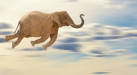 Papier Peint photo Lavable Éléphant Éléphant volant