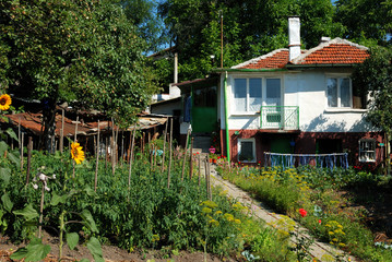 cottage in bistrica