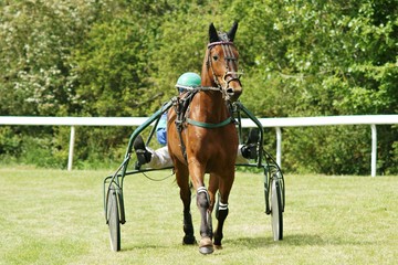 Course hippique #30