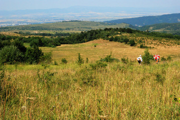 field in mountain