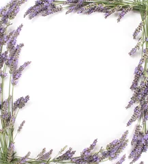 Foto op Plexiglas Frame van lavendel bloemen grens geïsoleerd op wit. © Aygul Bulté