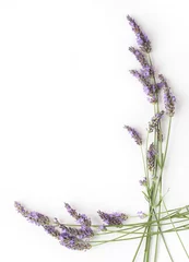  Decoratieve hoek van lavendel © Aygul Bulté