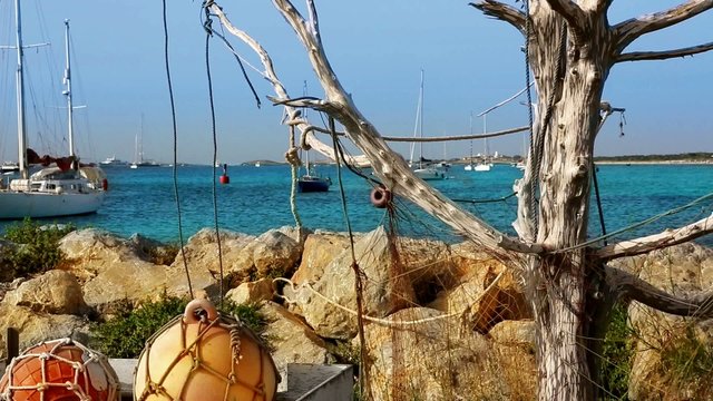 Formentera La Sabina with dry tree hanging fishermen nets