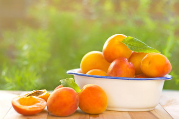 Fototapeta na wymiar Fresh and delicious Apricot
