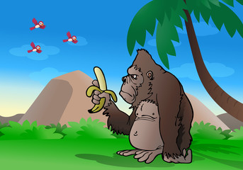 gorilla observe banana