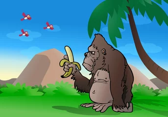 Zelfklevend Fotobehang Bosdieren gorilla observeren banaan