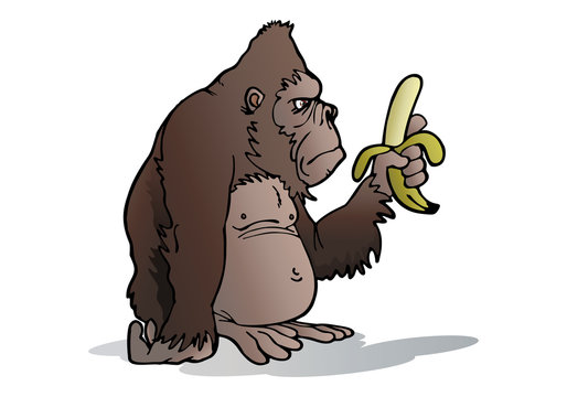 silverback gorilla eat banana