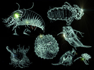 drawing and photo manipulation - micro wolrd
