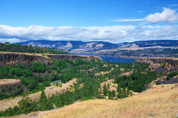 Naklejka premium A View From Rowena Crest Overlook at Oregon