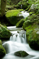 Cascade falls over mossy rocks